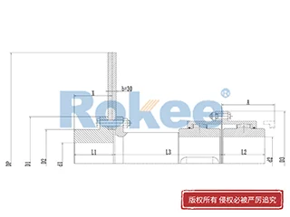 鼓型齿联轴器,RODF带分体制动盘型鼓形齿式联轴器
