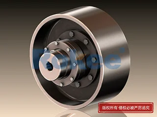 WGZ鼓型齿联轴器,WGZ型带制动轮鼓型齿式联轴器